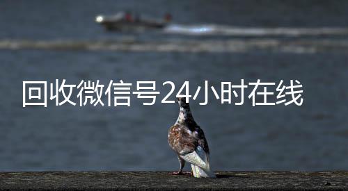 回收微信号24小时在收vx线秒结（回收微信号24小时交易平台）